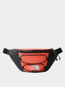 Сумки The North Face модель NF0A52TMZV11 Фото