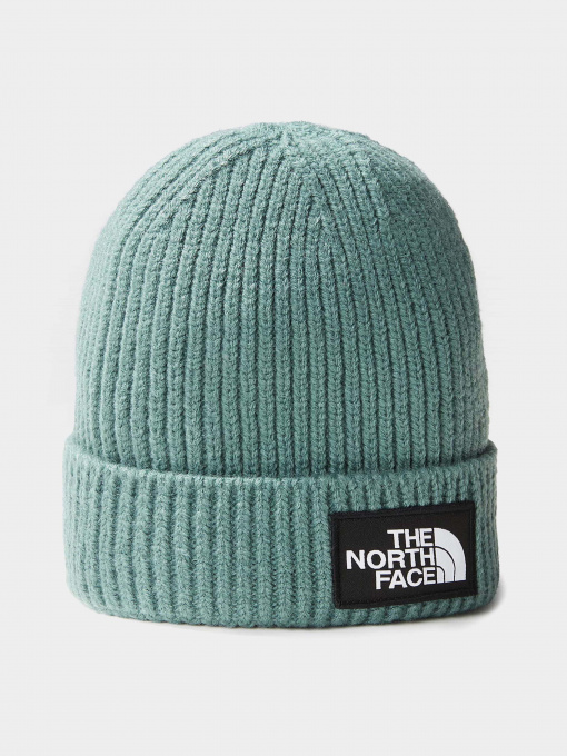 Шапки и кепки The North Face Box Logo Cuffed модель NF0A7WGCI0F1 Фото