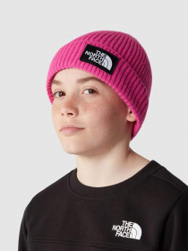 Шапки и кепки The North Face Kids Box Logo Cuffed Beanie модель NF0A7WGCWUG1 Фото
