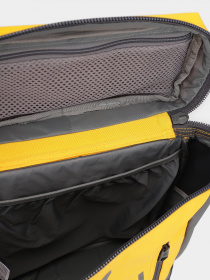 Рюкзаки The North Face Base Camp Fuse Box Mini 19L модель NF0A873WC8T1 Фото