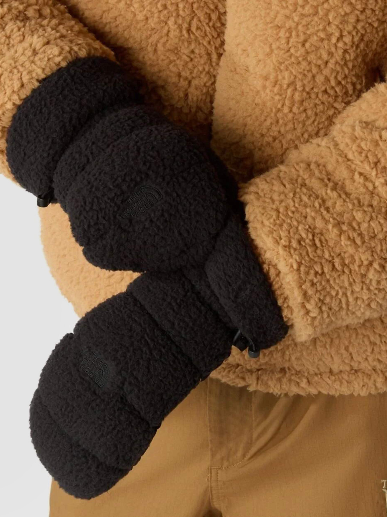 Перчатки и варежки The North Face Cragmont Fleece модель NF0A7WKTKX71 Фото