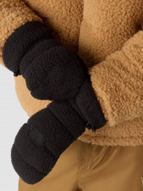 Перчатки и варежки The North Face Cragmont Fleece модель NF0A7WKTKX71 Фото