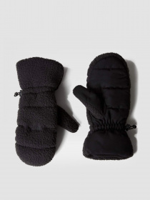Перчатки и варежки The North Face Cragmont Fleece модель NF0A7WKTKX71 Фото