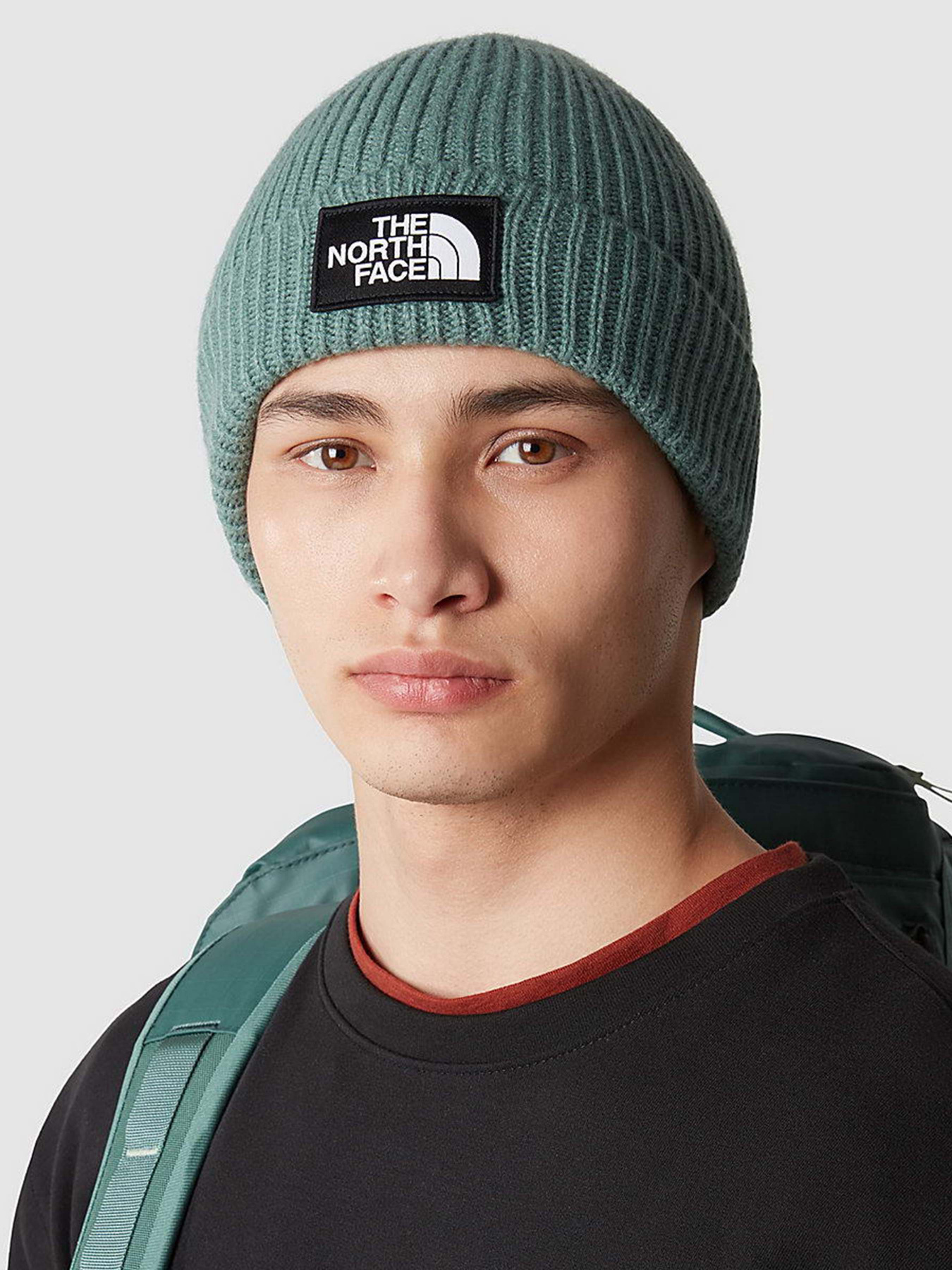 Шапки та кепки The North Face Logo Box Cuffed Beanie модель NF0A3FJXI0F1 Фото