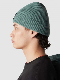 Шапки та кепки The North Face Logo Box Cuffed Beanie модель NF0A3FJXI0F1 Фото