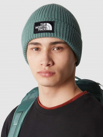 Шапки та кепки The North Face Logo Box Cuffed Beanie модель NF0A3FJXI0F1 Фото