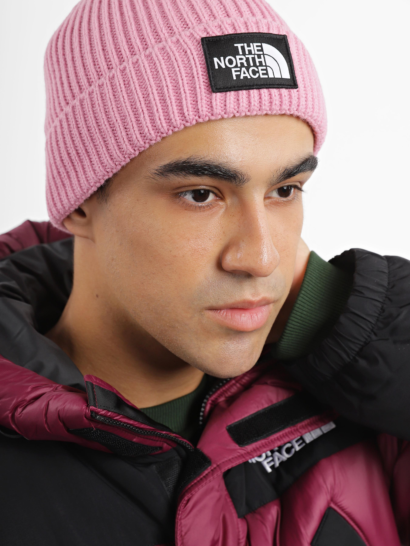 Шапки и кепки The North Face Logo Box Cuffed Beanie модель NF0A3FJXI0W1 Шапки и кепки The North Face Logo Box Cuffed Beanie модель NF0A3FJXI0W1 Фото