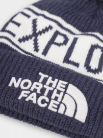 Шапки и кепки The North Face Retro TNF™ Pom Beanie модель NF0A3FMPOQ01 Фото