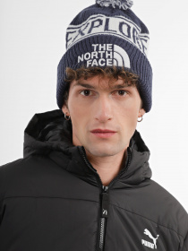 Шапки и кепки The North Face Retro TNF™ Pom Beanie модель NF0A3FMPOQ01 Фото