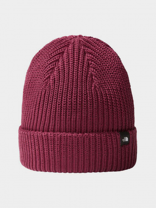Шапки и кепки The North Face Fisherman Beanie модель NF0A55JGI0H1 Фото