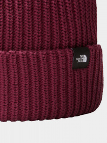 Шапки та кепки The North Face Fisherman Beanie модель NF0A55JGI0H1 Фото