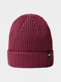 Шапки та кепки The North Face Fisherman Beanie модель NF0A55JGI0H1 Фото