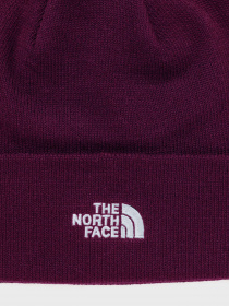 Шапки та кепки The North Face Norm модель NF0A5FW1I0H1 Фото