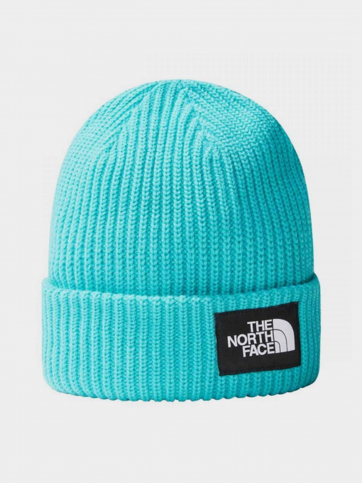 Шапки и кепки The North Face Salty Dog Beanie модель NF0A3FJWI0T1 Фото
