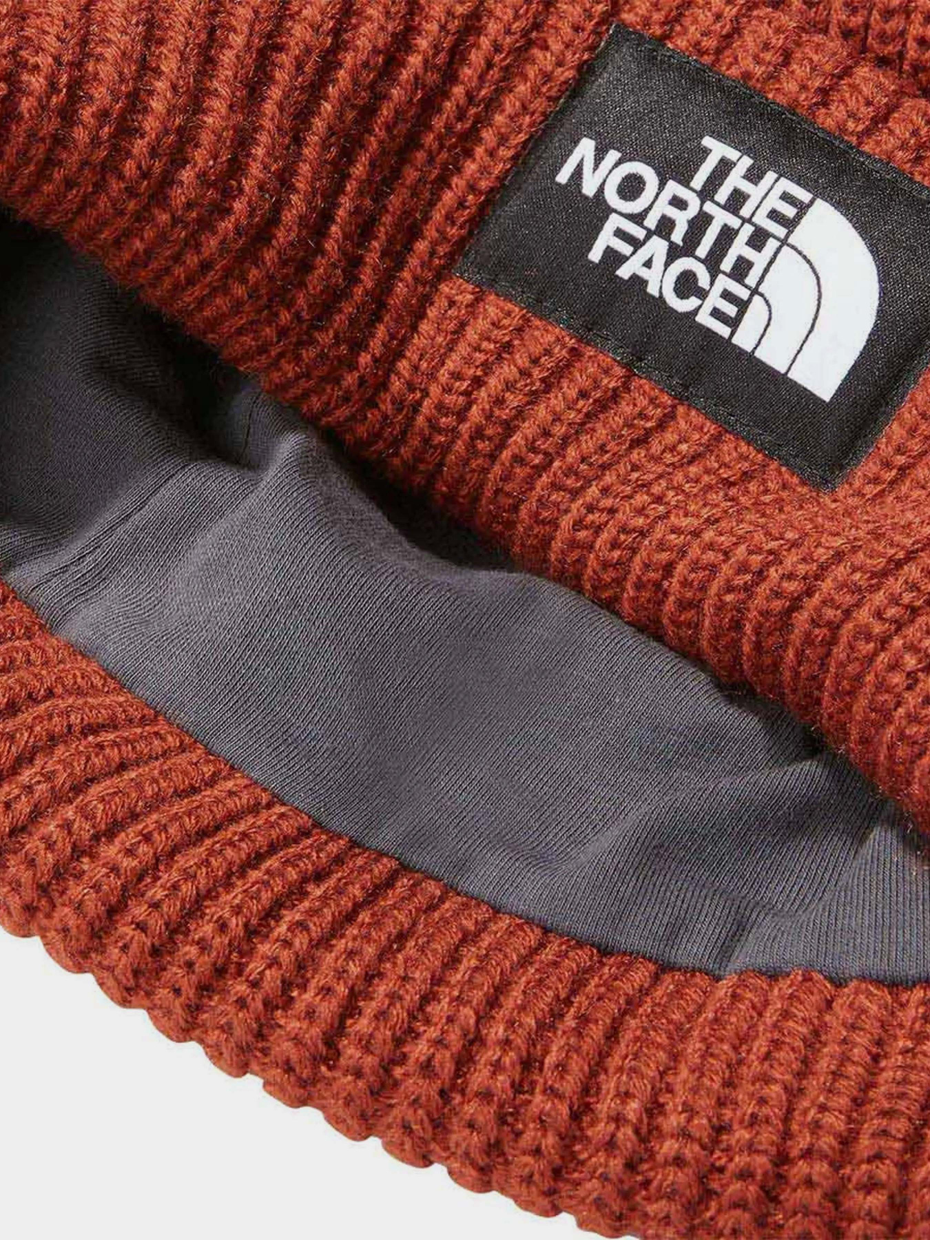 Шапки и кепки The North Face Salty Dog Beanie модель NF0A3FJWUBC1 Фото