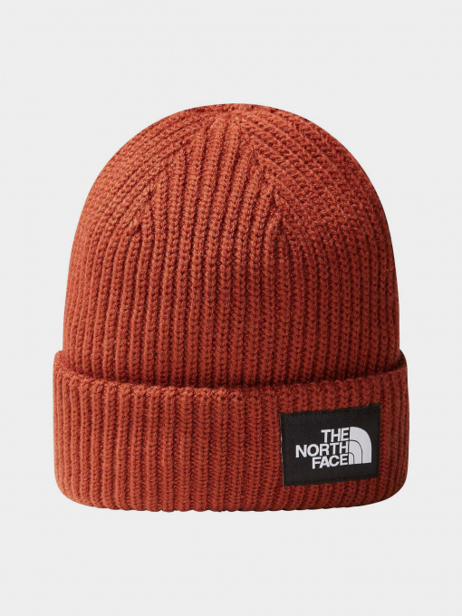 Шапки и кепки The North Face Salty Dog Beanie модель NF0A3FJWUBC1 Фото