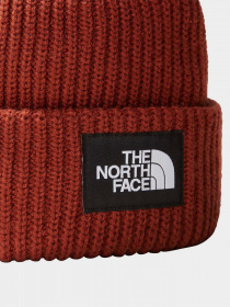 Шапки и кепки The North Face Salty Dog Beanie модель NF0A3FJWUBC1 Фото
