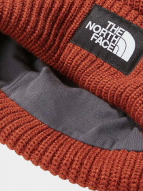 Шапки и кепки The North Face Salty Dog Beanie модель NF0A3FJWUBC1 Фото