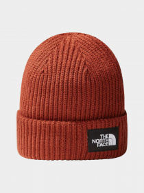 Шапки и кепки The North Face Salty Dog Beanie модель NF0A3FJWUBC1 Фото
