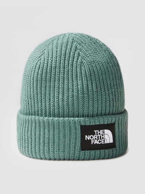 Шапки и кепки The North Face Salty Dog Beanie модель NF0A3FJWI0F1 Фото