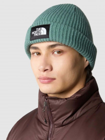 Шапки та кепки The North Face Salty Dog Beanie модель NF0A3FJWI0F1 Фото