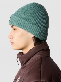 Шапки та кепки The North Face Salty Dog Beanie модель NF0A3FJWI0F1 Фото
