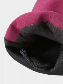 Рукавиці та рукавички The North Face Apex Etip™ Lifestyle модель NF0A7RHFI0H1 Фото