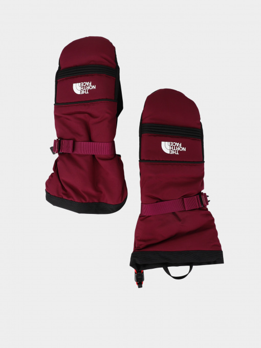Перчатки и варежки The North Face Ski Mitt модель NF0A7RGXI0H1 Фото