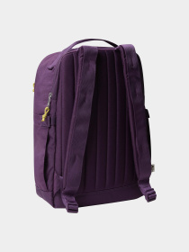 Рюкзаки The North Face Berkeley Daypack 16L модель NF0A52VQTIH1 Фото