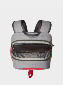 Рюкзаки The North Face Y2K Daypack Forest 20L модель NF0A87GGYOE1 Фото