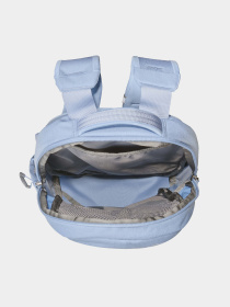 Рюкзаки The North Face Borealis Mini 10L модель NF0A52SWYOF1 Фото