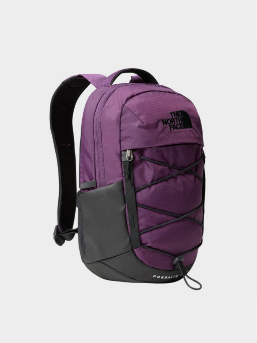 Рюкзаки The North Face Borealis Mini 10L модель NF0A52SW6NR1 Фото