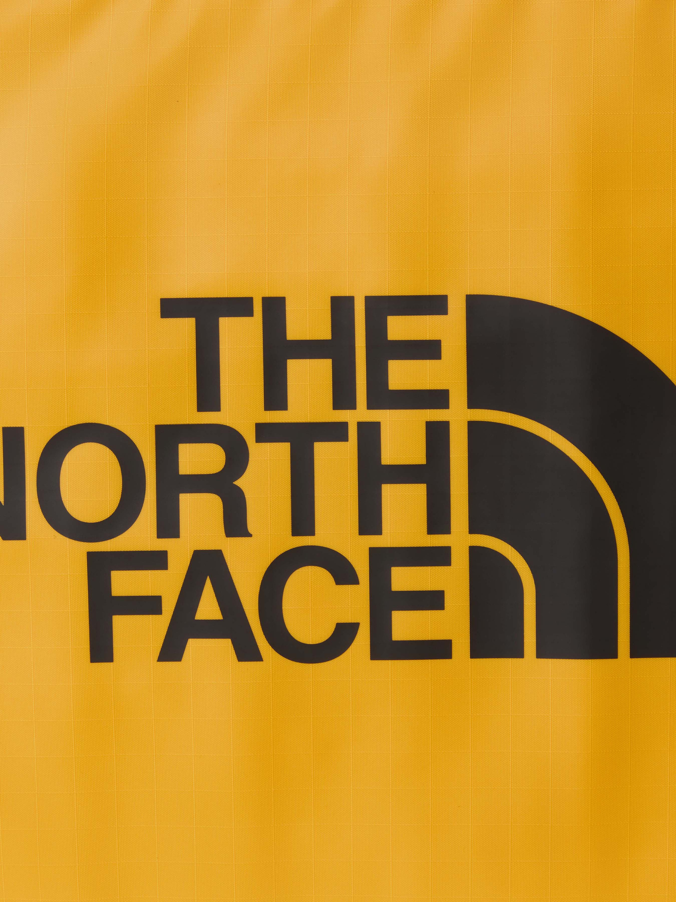 Дорожні сумки та валізи The North Face Base Camp Gear Box модель NF0A81CCZU31 Дорожні сумки та валізи The North Face Base Camp Gear Box модель NF0A81CCZU31 Фото