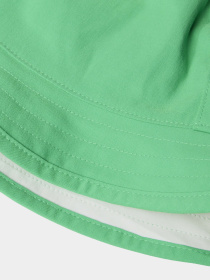 Шапки та кепки The North Face Class V Reversible Bucket Hat модель NF0A7WGY4GI1 Фото