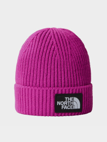 Шапки и кепки The North Face Logo Box Cuffed модель NF0A3FJX1I71 Фото