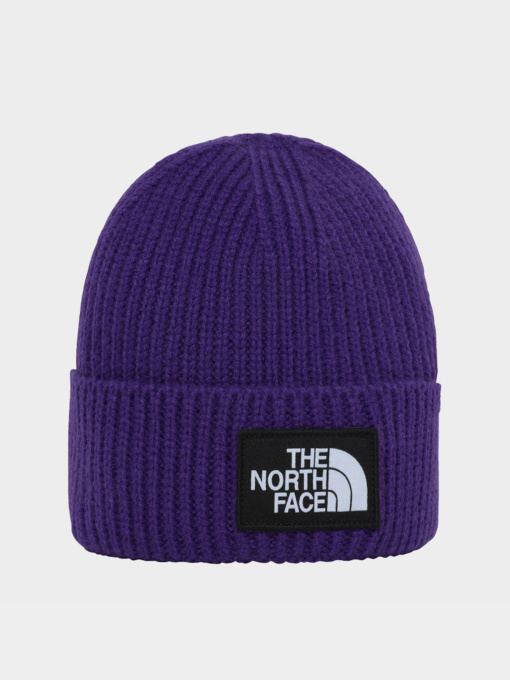 Шапки та кепки The North Face Logo Box Cuffed модель NF0A3FJXNL41 Фото