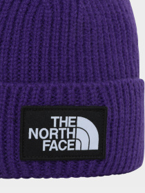 Шапки та кепки The North Face Logo Box Cuffed модель NF0A3FJXNL41 Фото
