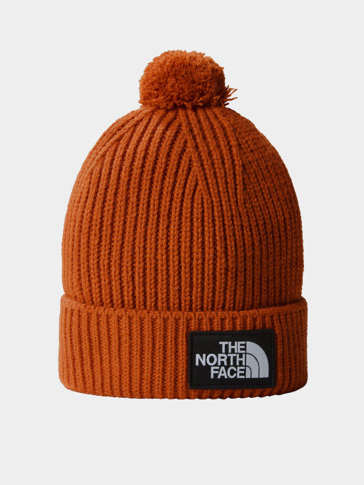 Шапки та кепки The North Face Logo Box Pom модель NF0A3FN31I01 Фото