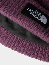 Шапки и кепки The North Face Salty Lined модель NF0A3FJW1NI1 Фото