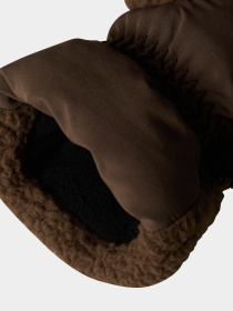 Перчатки и варежки The North Face Cragmont Fleece модель NF0A7WKT1OI1 Фото