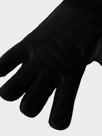 Перчатки и варежки The North Face Amp Glove модель NF0A888MJK31 Фото