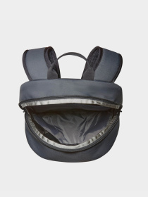 Рюкзаки The North Face Y2k Daypack модель NF0A87GG4GZ1 Фото