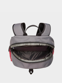 Рюкзаки The North Face Y2K Daypack 20L модель NF0A87GG32D1 Фото