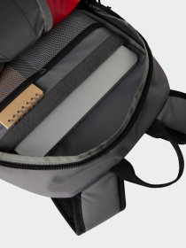 Рюкзаки The North Face Y2K Daypack 20L модель NF0A87GG32D1 Фото
