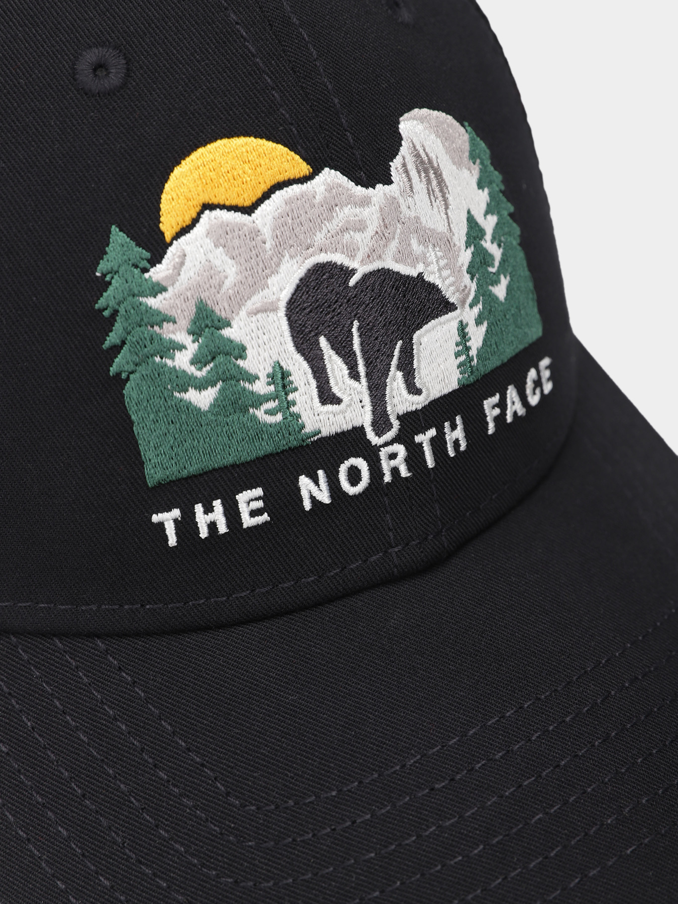 Шапки и кепки The North Face Embroidered Mudder Trucker модель NF0A7WH396O1 Фото