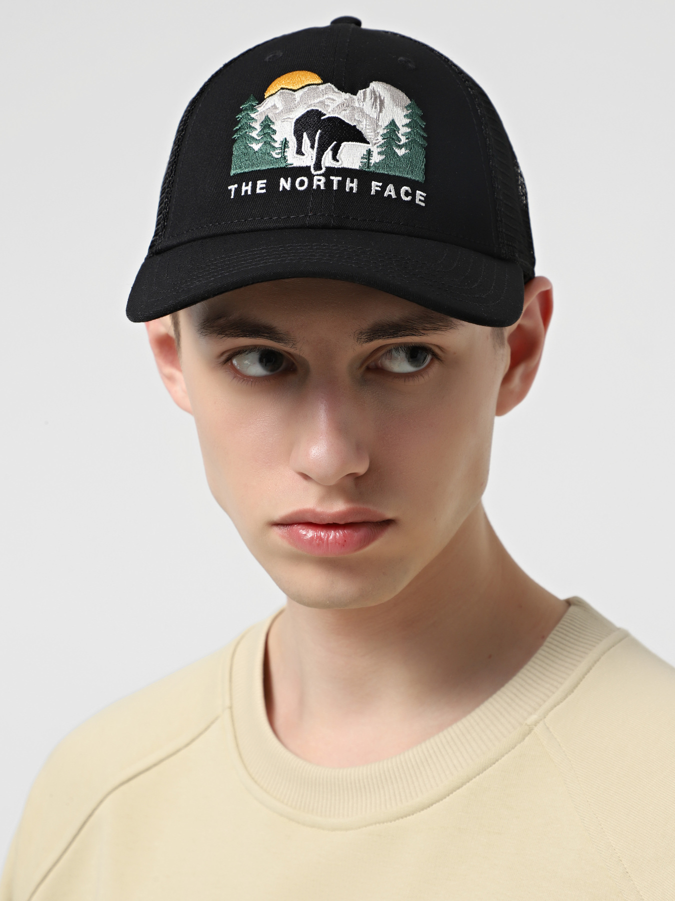 Шапки и кепки The North Face Embroidered Mudder Trucker модель NF0A7WH396O1 Фото