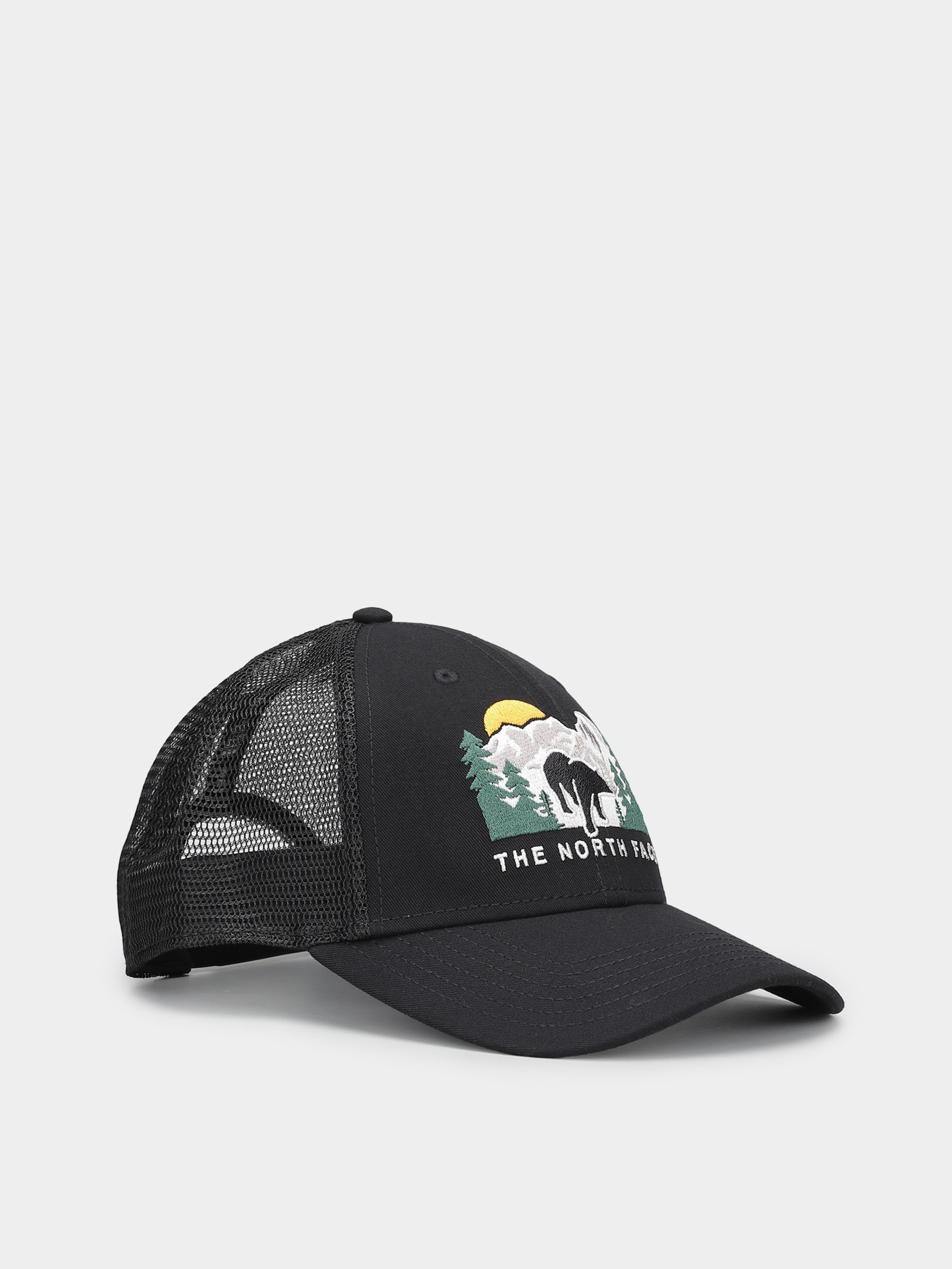 Шапки и кепки The North Face Embroidered Mudder Trucker модель NF0A7WH396O1 Фото