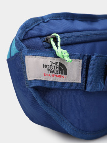 Сумки The North Face Y2k Hip Pack 3 L модель NF0A87GEBDI1 Фото