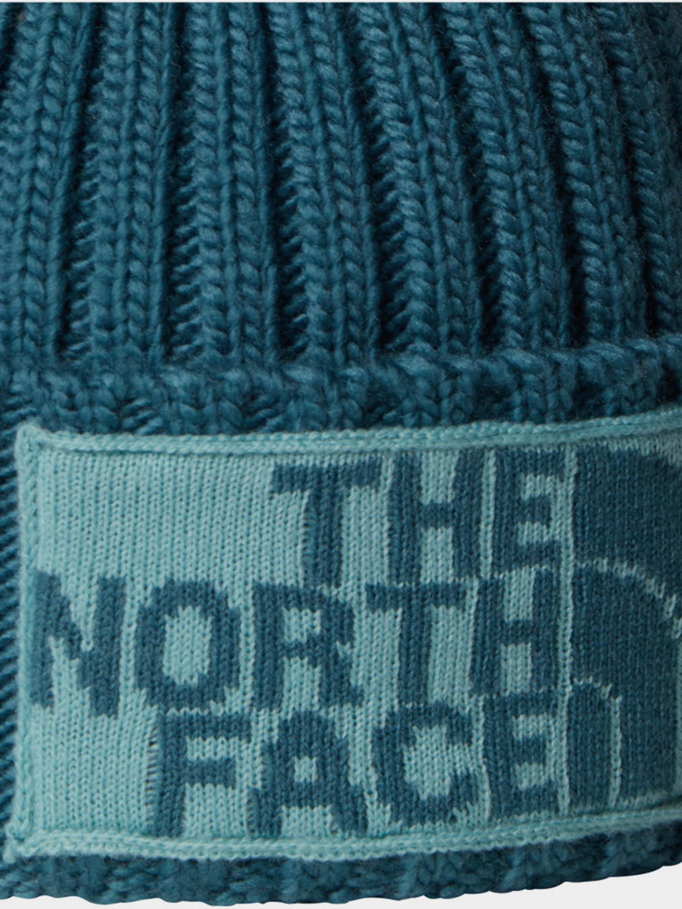 Шапки и кепки The North Face модель NF0A7WJOE311 Шапки и кепки The North Face модель NF0A7WJOE311 Фото