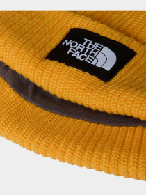Шапки та кепки The North Face Salty Lined модель NF0A8CGZ56P1 Фото